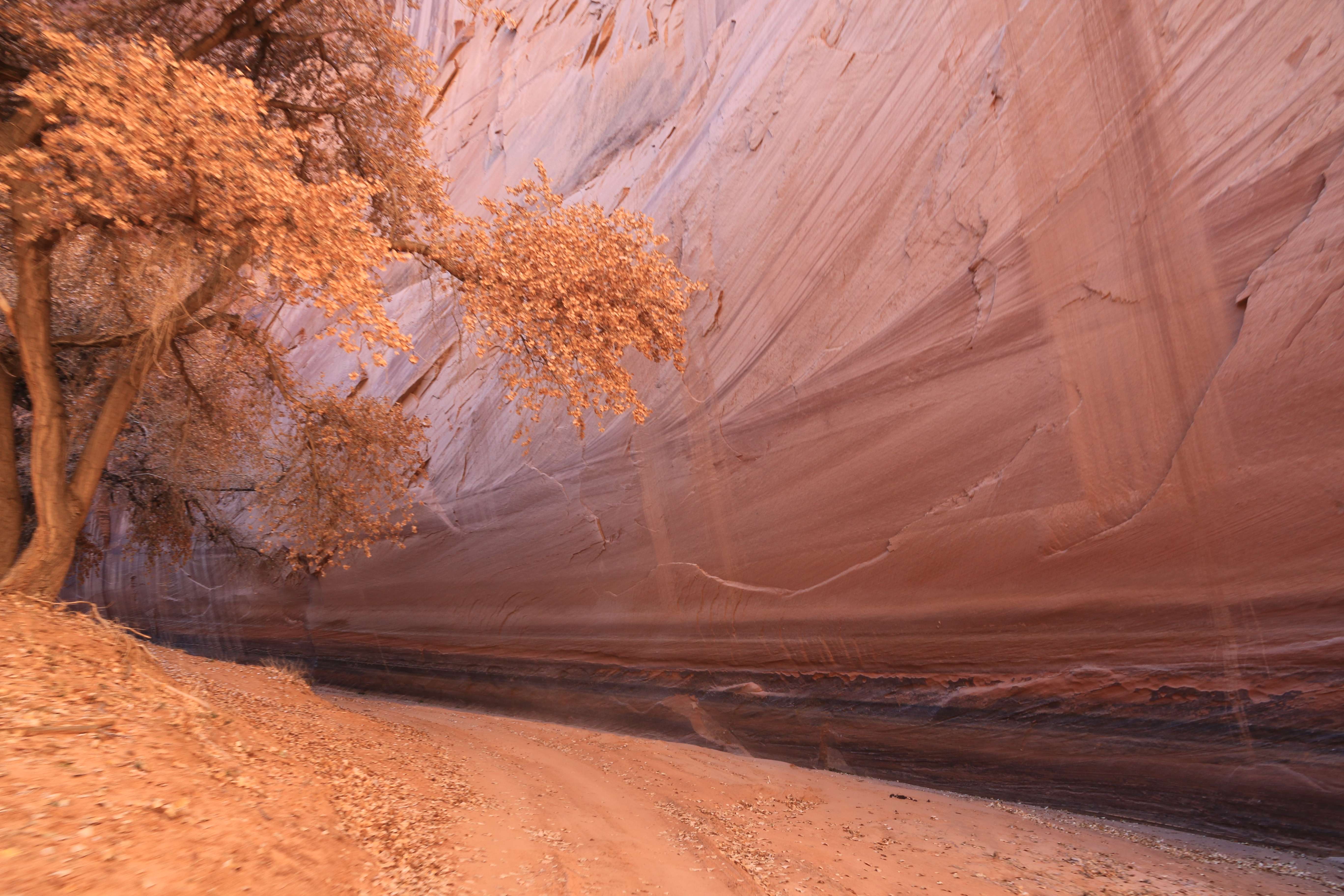 Canyon de Chelly